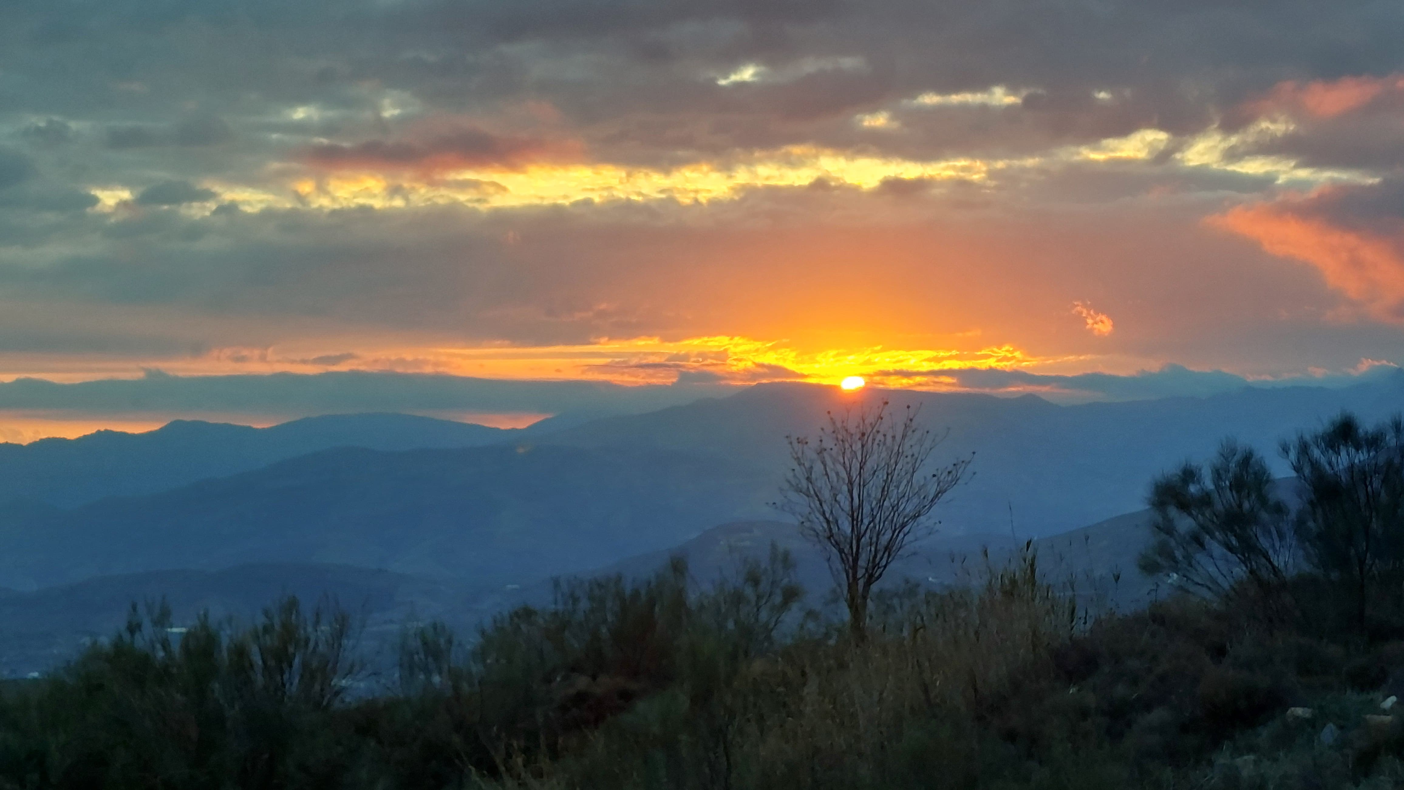 Majestic mountain sunset with silhouetted trees in the foreground